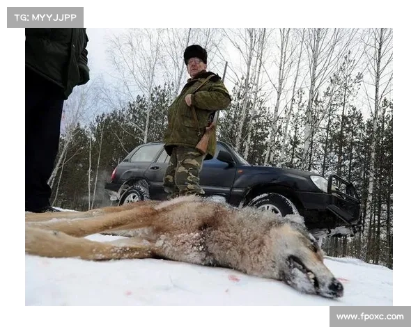 俄罗斯、白俄罗斯的航空领域遭遇“粘性狼人”攻击 媒体 俄罗斯、白俄罗斯的航空领域遭遇“粘性狼人”攻击 媒体